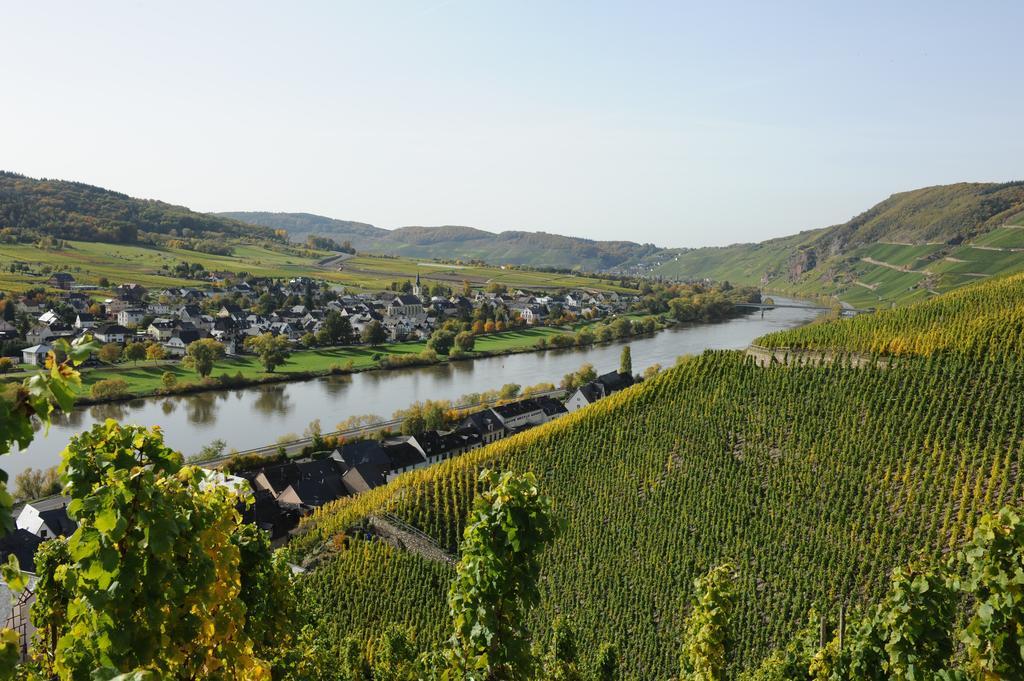 Ferienweingut Wolfgang Adamy Hotel Kinheim Exterior photo